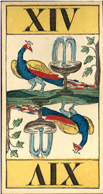 [Animal Tarot]